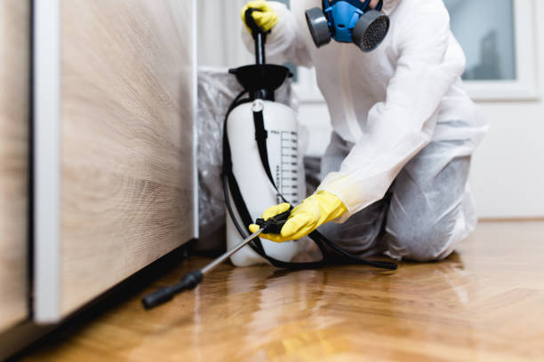 Best Mosquito Control Services  in Ashton, ID
