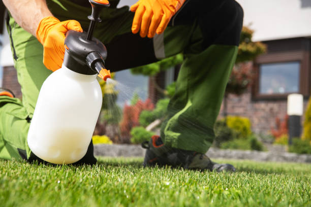 Best Pest Prevention Services  in Ashton, ID