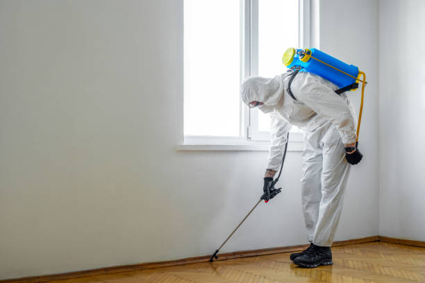 Best Commercial Pest Control Services  in Ashton, ID