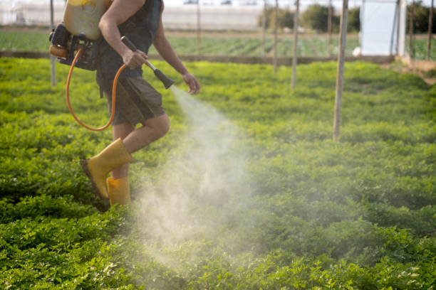 Best Pest Control Near Me in Ashton, ID