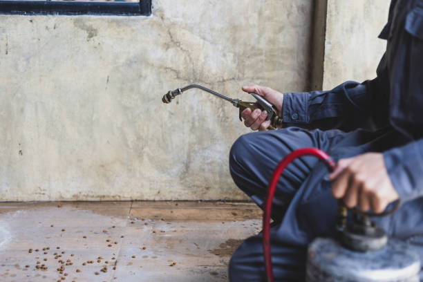 Best Residential Pest Control  in Ashton, ID